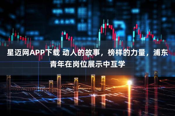 星迈网APP下载 动人的故事，榜样的力量，浦东青年在岗位展示中互学