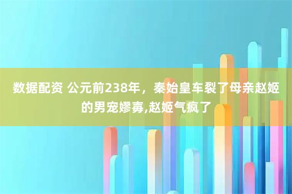 数据配资 公元前238年，秦始皇车裂了母亲赵姬的男宠嫪毐,赵姬气疯了